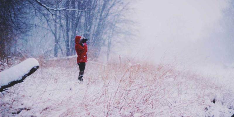 铸就核安全基石：探秘荆州泰龙铸造的核电装备特种工艺与全链条认证体系